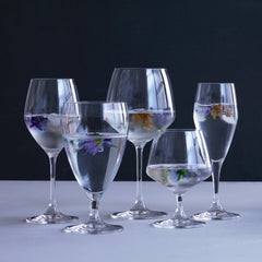 Perfection Beer Glass - Set of 6