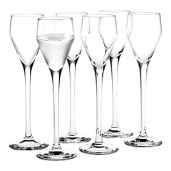 Perfection Shot Glass - Set of 6