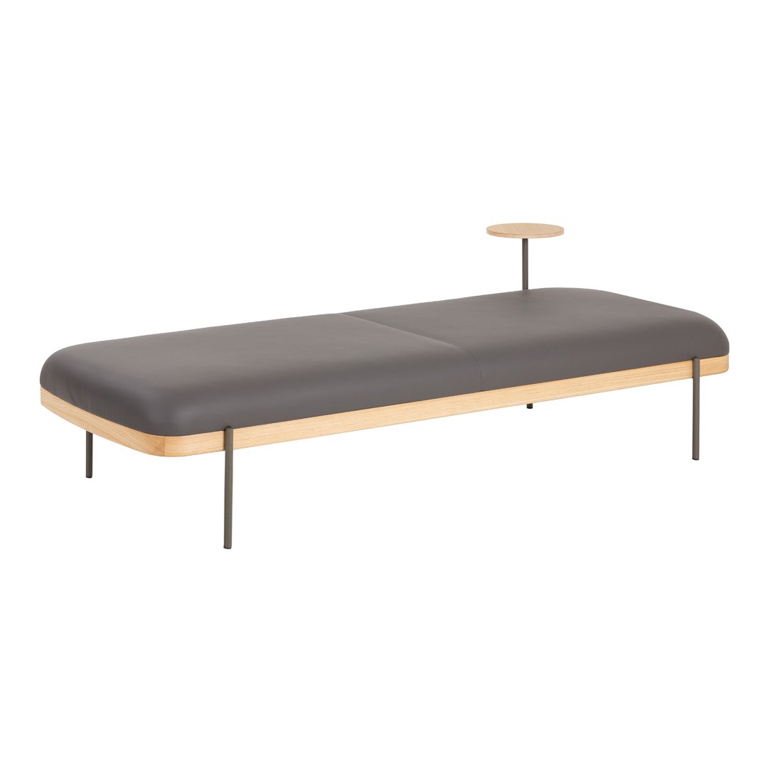 Sleek gray daybed with smooth surface and natural wood accents, complemented by minimalist metal legs.