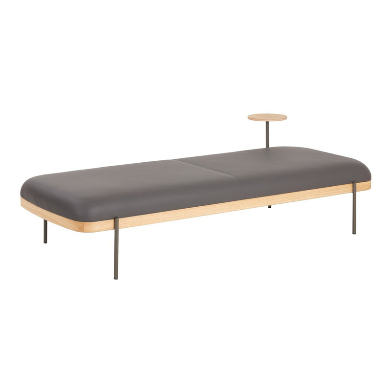 Sleek gray daybed with smooth surface and natural wood accents, complemented by minimalist metal legs.