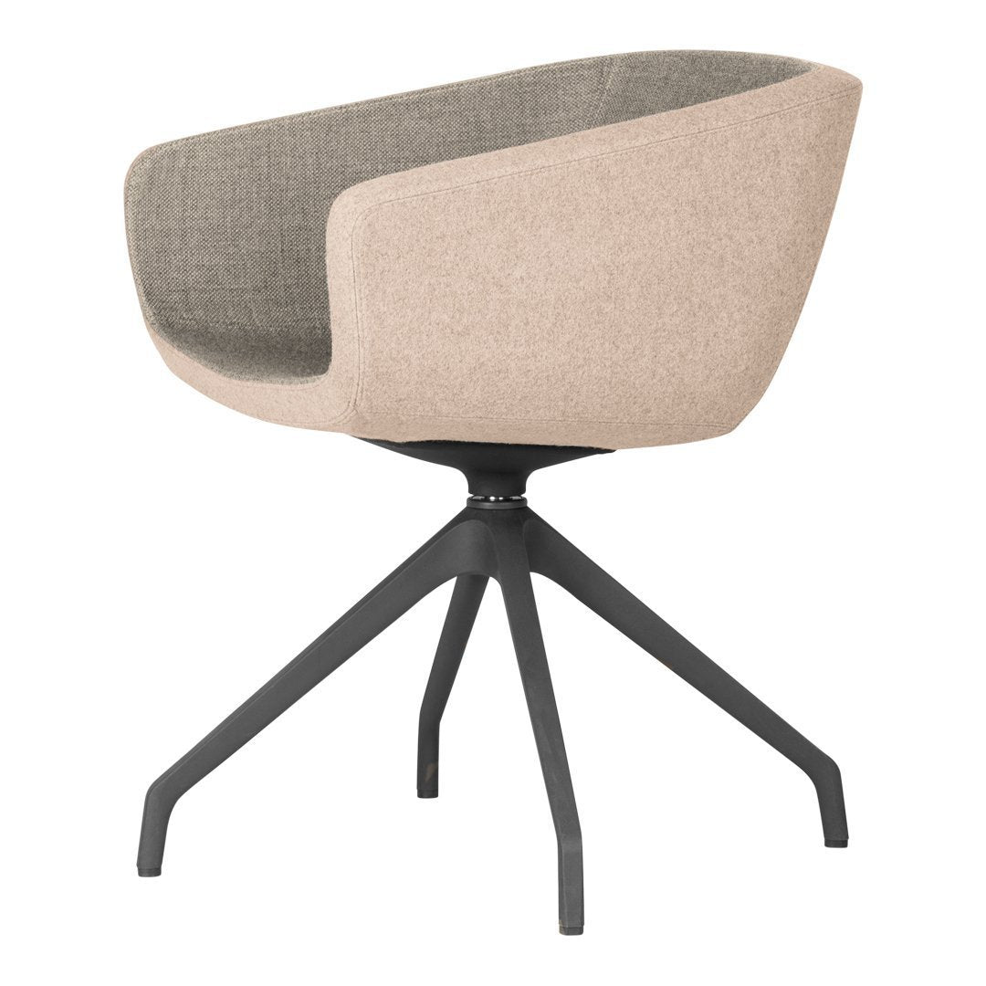 Arca 4096 Mini Armchair - 4-Spoke Swivel Base