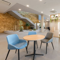 Noom Series 30 Armchair - Conical Wood Legs