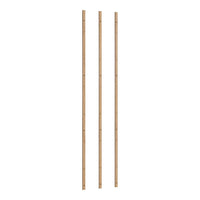 Three natural bamboo stakes with a smooth, light brown finish, showcasing a classic bamboo pattern.