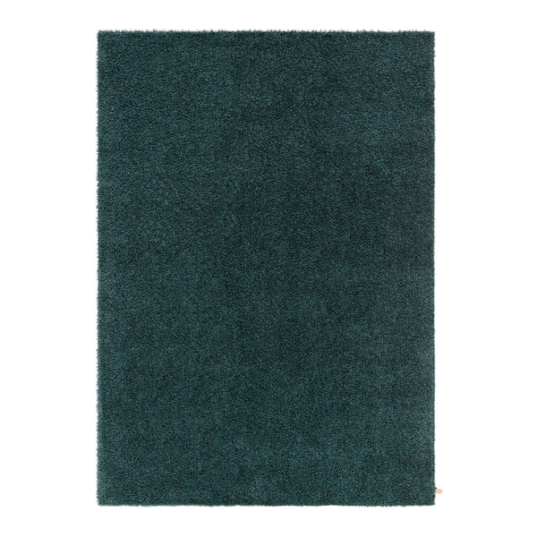 Teal shag rug with a solid, plush texture, perfect for adding vibrancy to any room. Soft and luxurious feel.