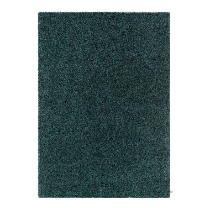 Teal shag rug with a solid, plush texture, perfect for adding vibrancy to any room. Soft and luxurious feel.