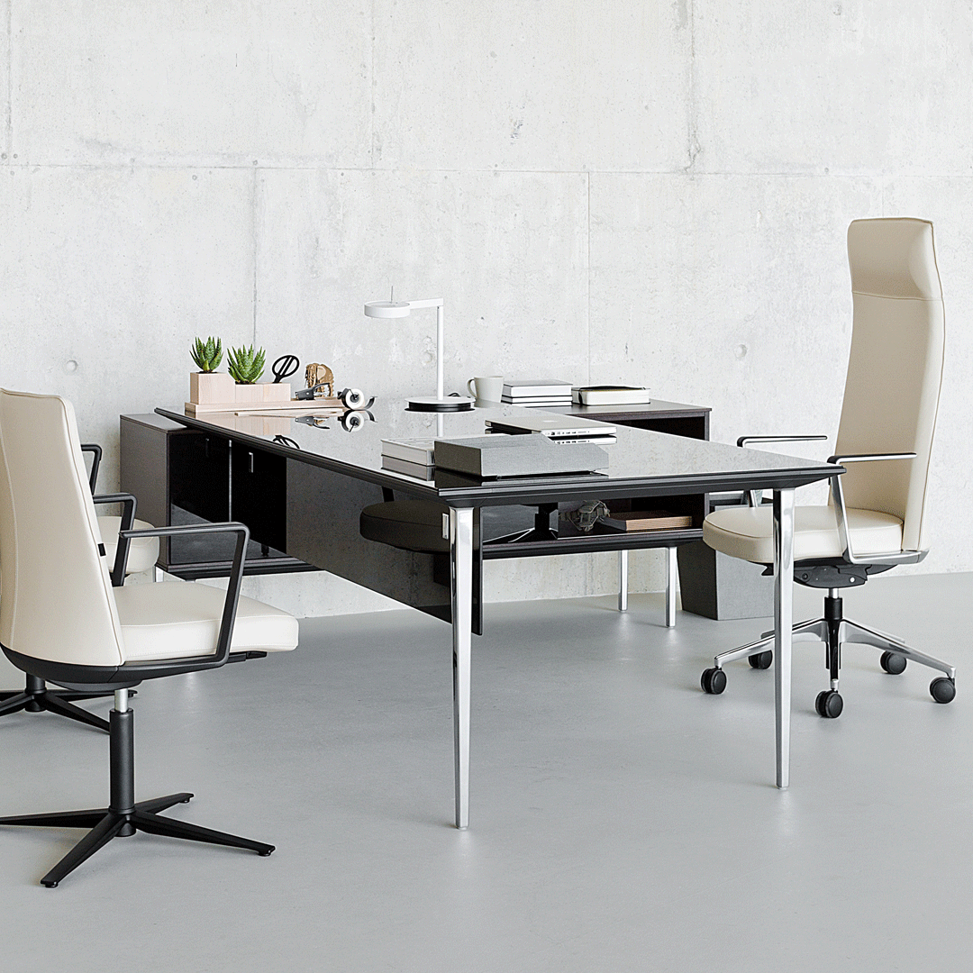 Longo Executive Desk w/ Storage Unit Support