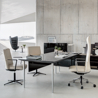 Longo Executive Desk w/ Storage Unit Support