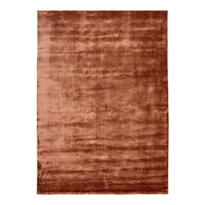 "Soft textured area rug in rich rust color with subtle gradient pattern, perfect for adding warmth to any space."