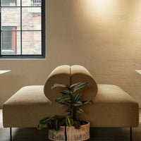 Beige minimalist sofa with curved backrest and textured fabric, accented by a potted plant in a stylish container.