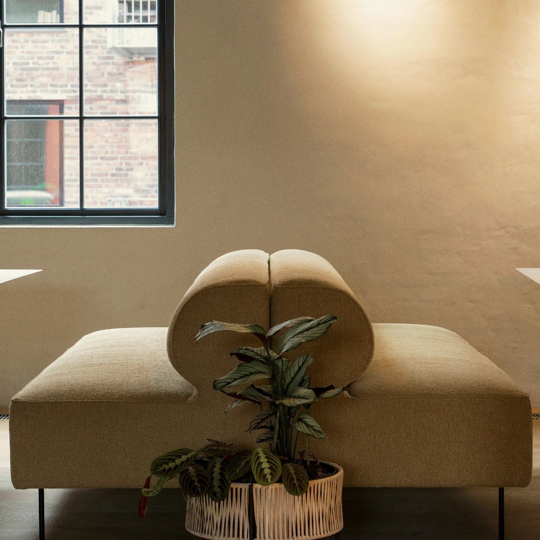 Beige sofa with a rounded back and subtle texture, complemented by a green plant in a decorative pot.