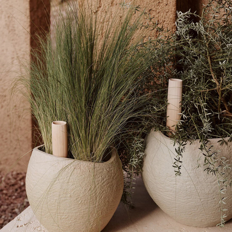 Light beige textured pots with green grasses and herbs, featuring natural bamboo accents for a modern, earthy decor.