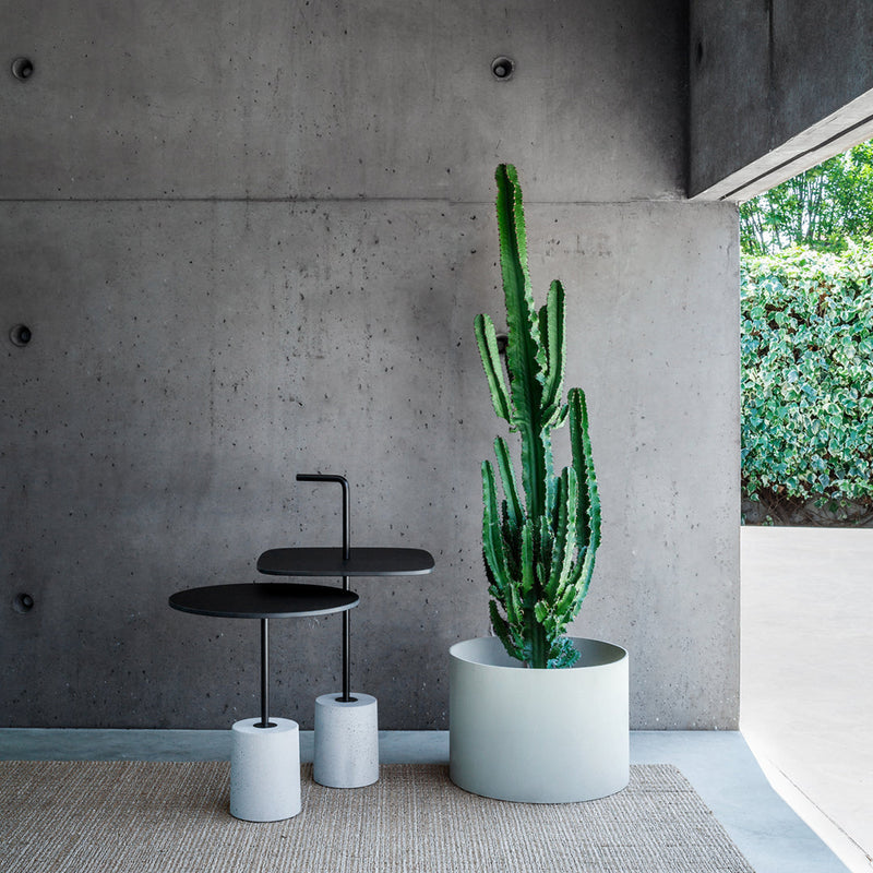 Black and white plant stands with a tall green cactus in a minimalist gray space, highlighting modern decor patterns.