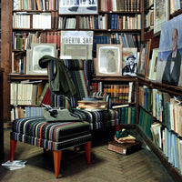Colorful striped armchair with a mix of blue, red, and green patterns, set against a rustic wooden library backdrop.