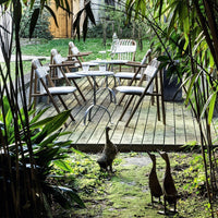 Unam - Out 01/C Dining Chair