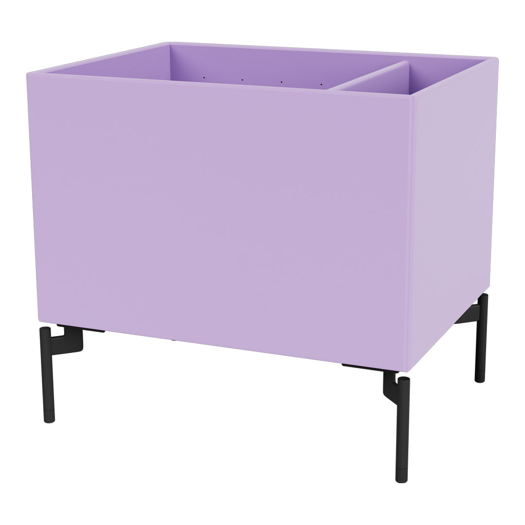 "Modern lavender planter with sleek black legs, featuring a minimalist rectangular shape."
