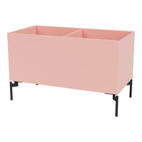 Pink two-compartment storage unit with a smooth finish and black metal legs, perfect for modern decor.