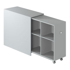 Cargo Storage Cabinet