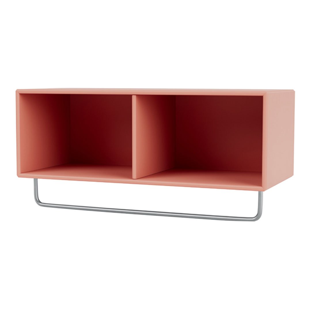 Coral pink two-compartment storage unit with a sleek silver metal frame. Modern minimalist design for stylish organization.