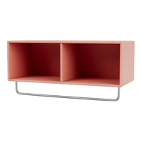 Coral pink two-compartment storage unit with a sleek silver metal frame. Modern minimalist design for stylish organization.