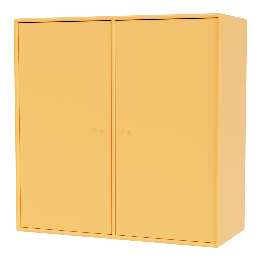 Cabinet 1118 - 2 Lacquered Doors