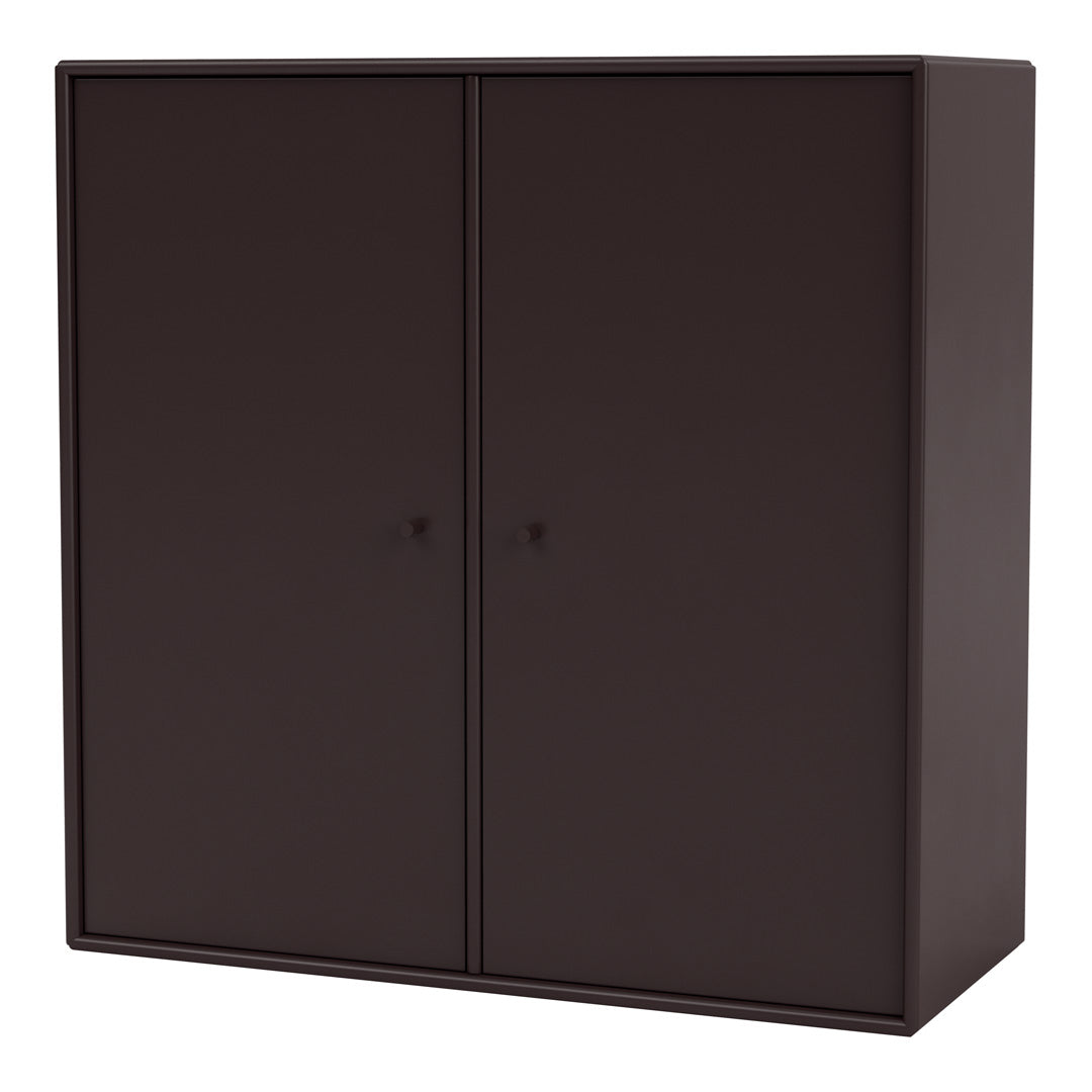 Cabinet 1118 - 2 Lacquered Doors