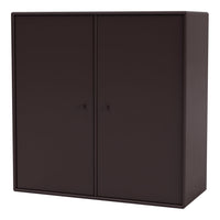 Cabinet 1118 - 2 Lacquered Doors