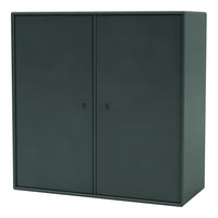 Cabinet 1118 - 2 Lacquered Doors
