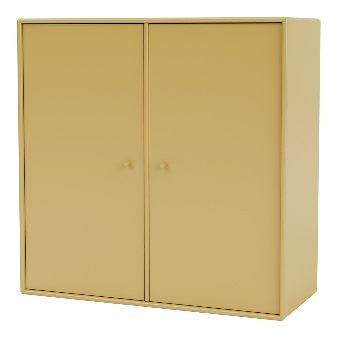 Cabinet 1118 - 2 Lacquered Doors
