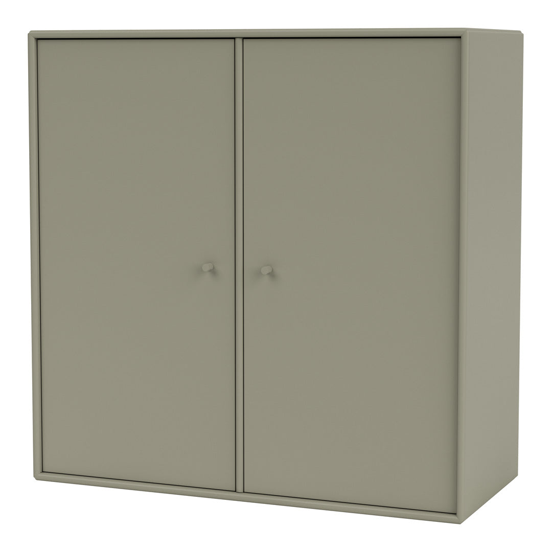 Cabinet 1118 - 2 Lacquered Doors