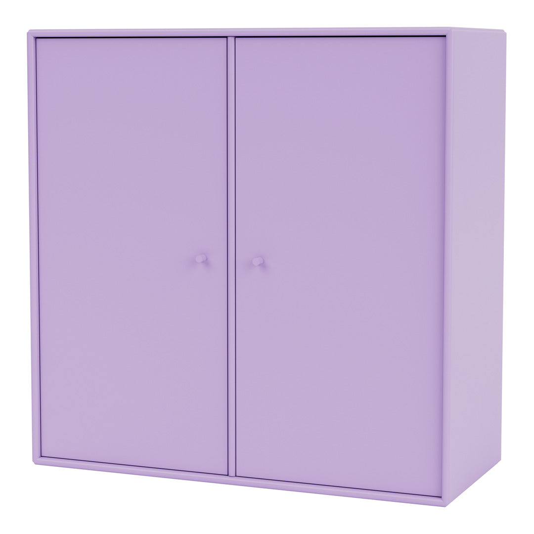 Cabinet 1118 - 2 Lacquered Doors