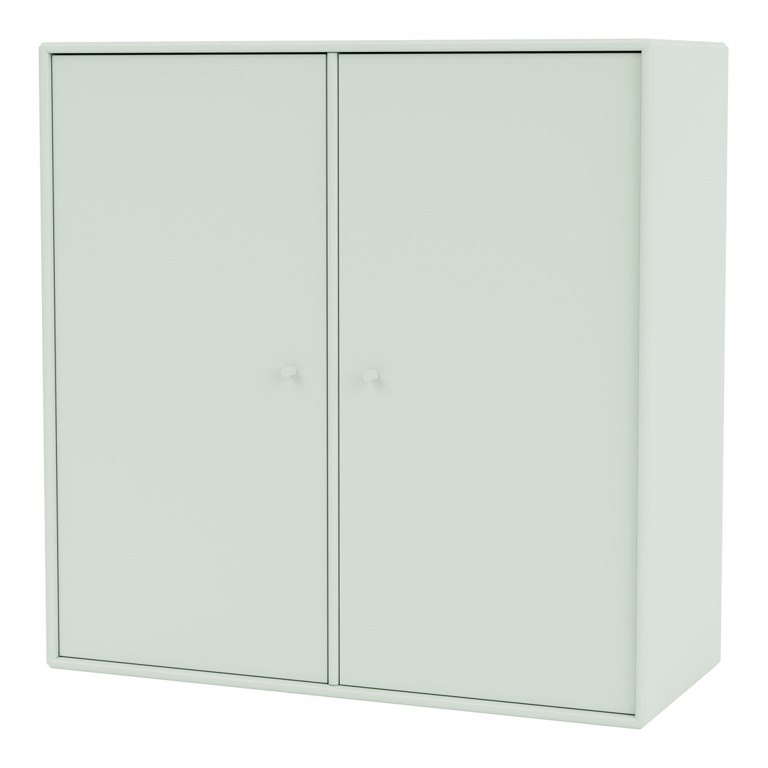 Cabinet 1118 - 2 Lacquered Doors