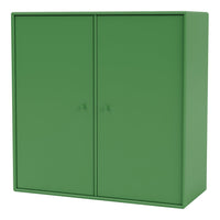 Cabinet 1118 - 2 Lacquered Doors