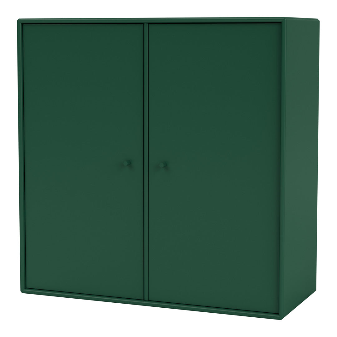 Cabinet 1118 - 2 Lacquered Doors