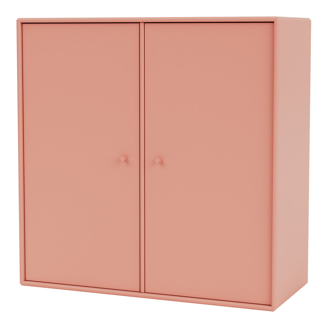 Cabinet 1118 - 2 Lacquered Doors