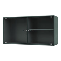 Dark green storage cabinet with a sleek ribbed pattern and a modern finish, featuring two doors and an open shelf.