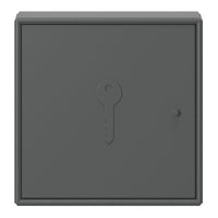 Gray key storage box with a smooth matte finish and a simple keyhole design. Ideal for modern interiors.