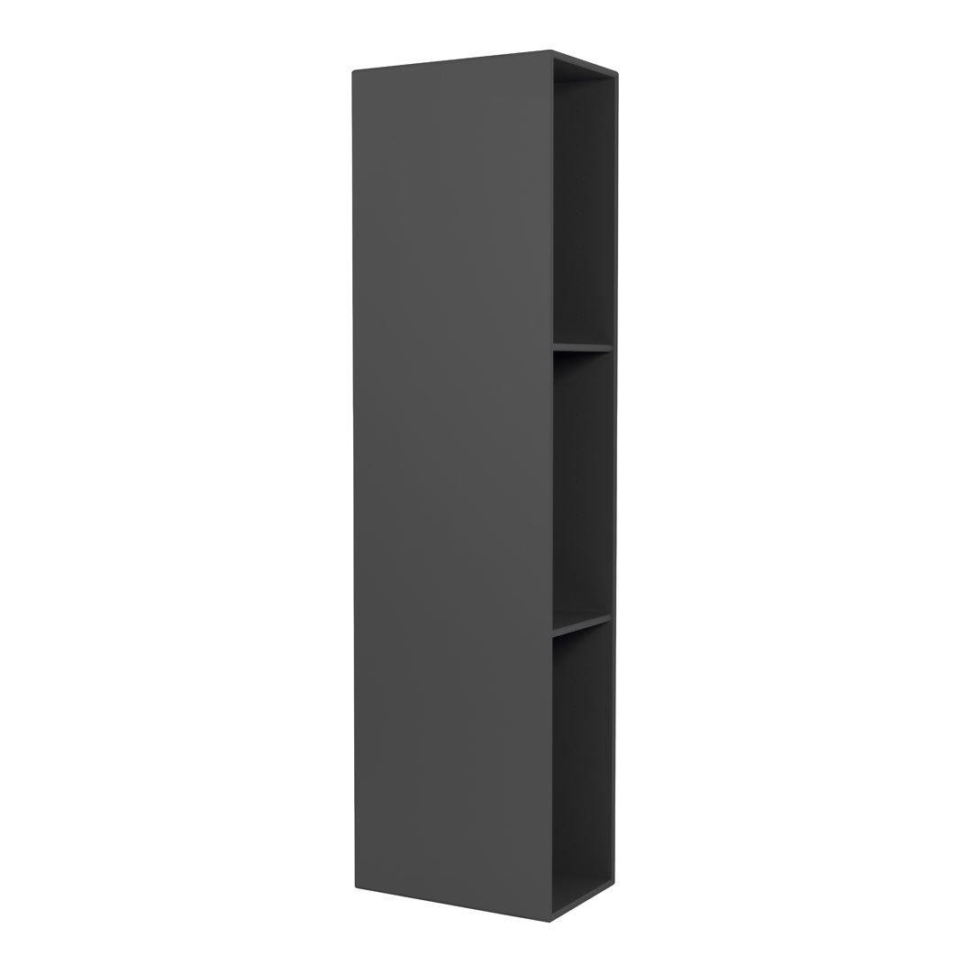 Sleek black tall bookshelf with a minimalist design and clean lines, featuring three open shelves.