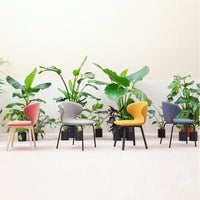 Colorful chairs in pink, gray, yellow, and navy, set against a backdrop of lush green plants and soft neutral tones.