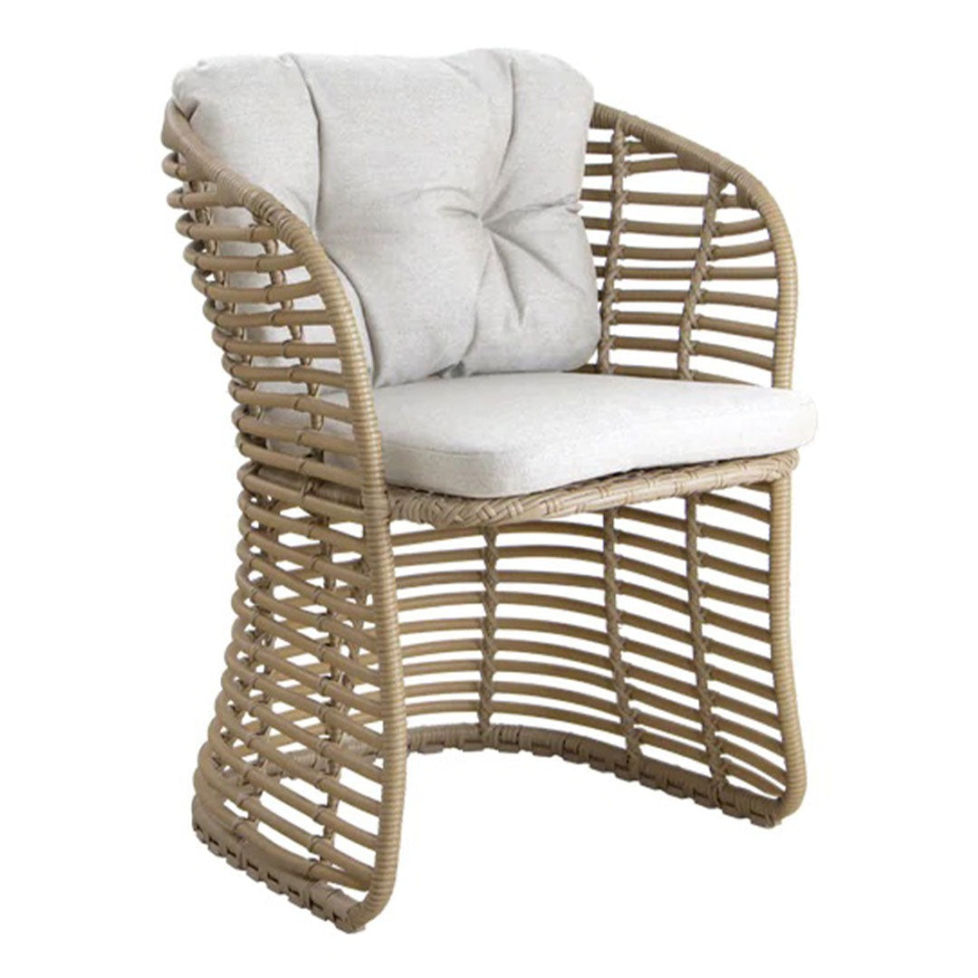 Basket Chair