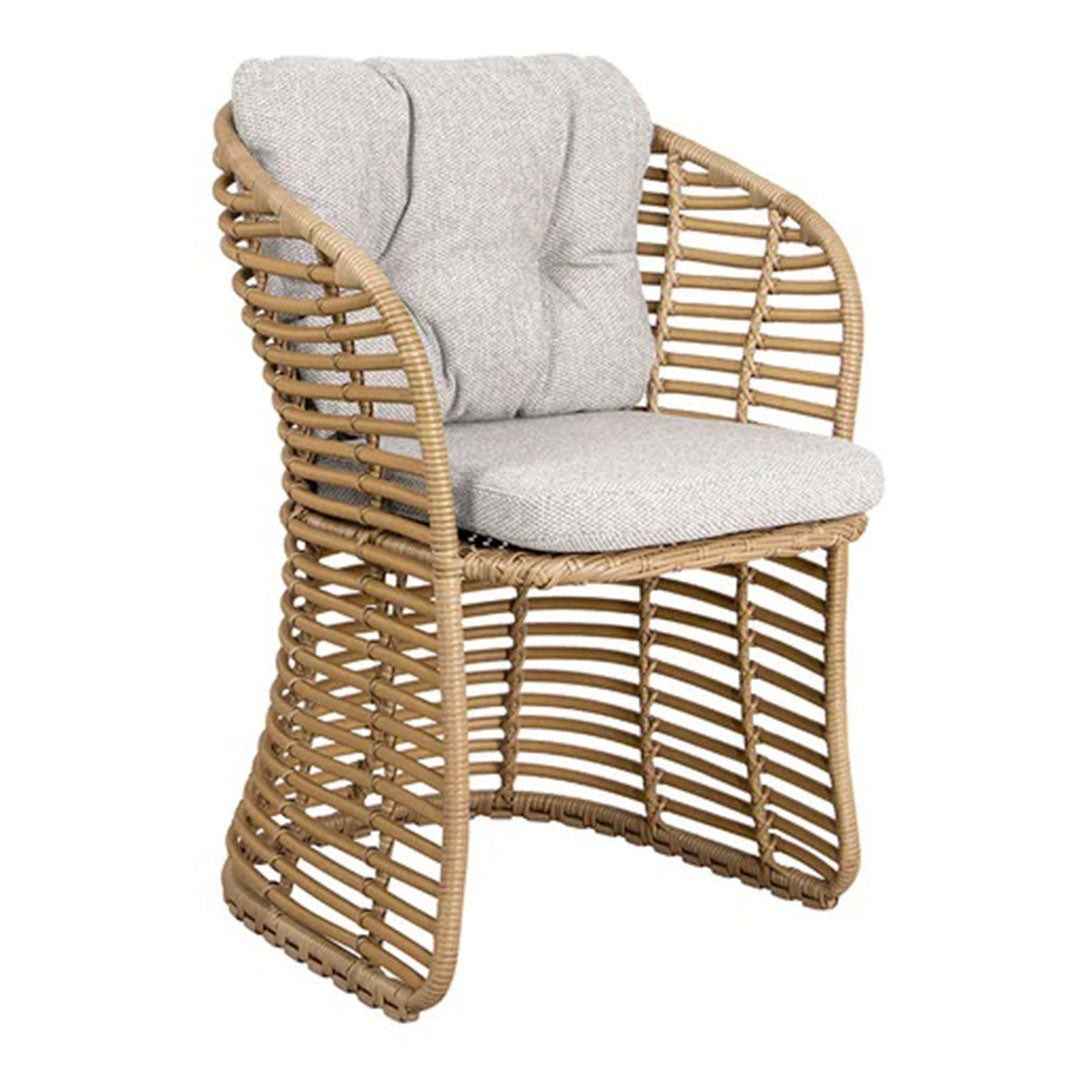Basket Chair