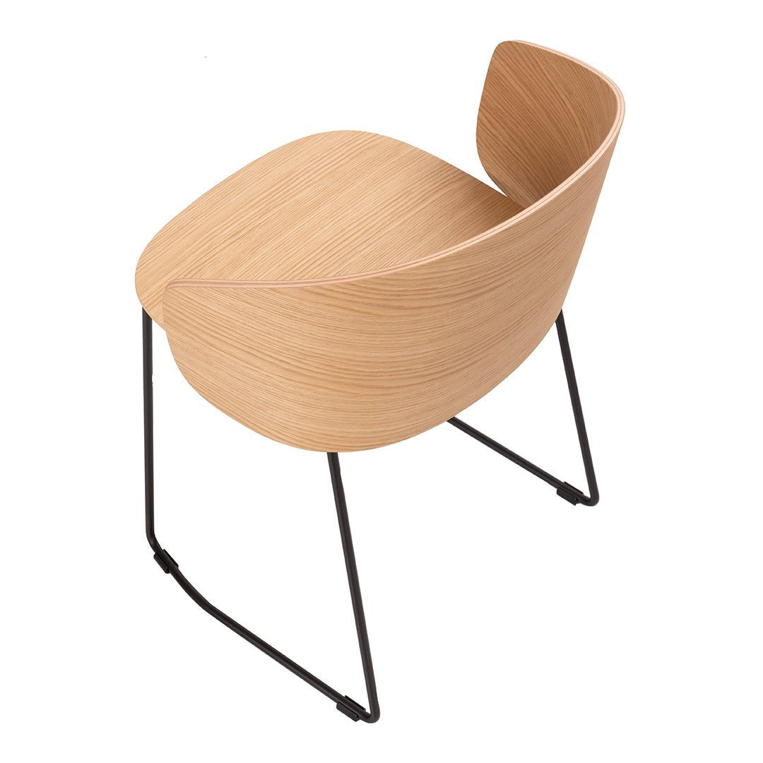 Not Wood Chair - Sled Base