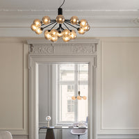 Apiales 18 Chandelier