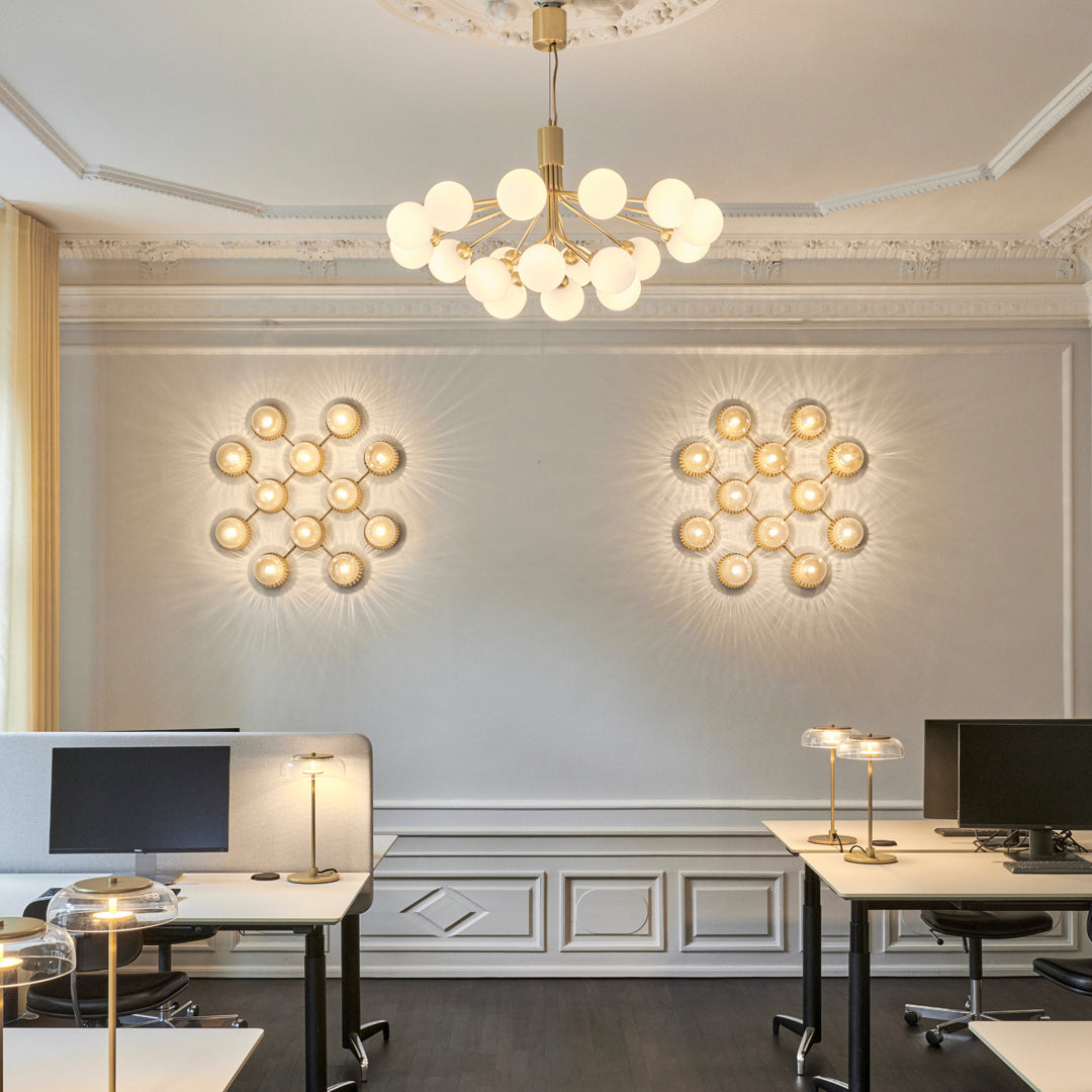 Apiales 18 Chandelier