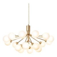Apiales 18 Chandelier
