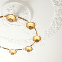 Blossi 8 Chandelier