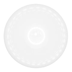 Globe LED Surface Light