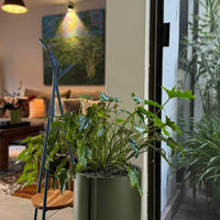 "Green leafy plant in a sleek gray ceramic pot, set against a bright interior with colorful wall art."