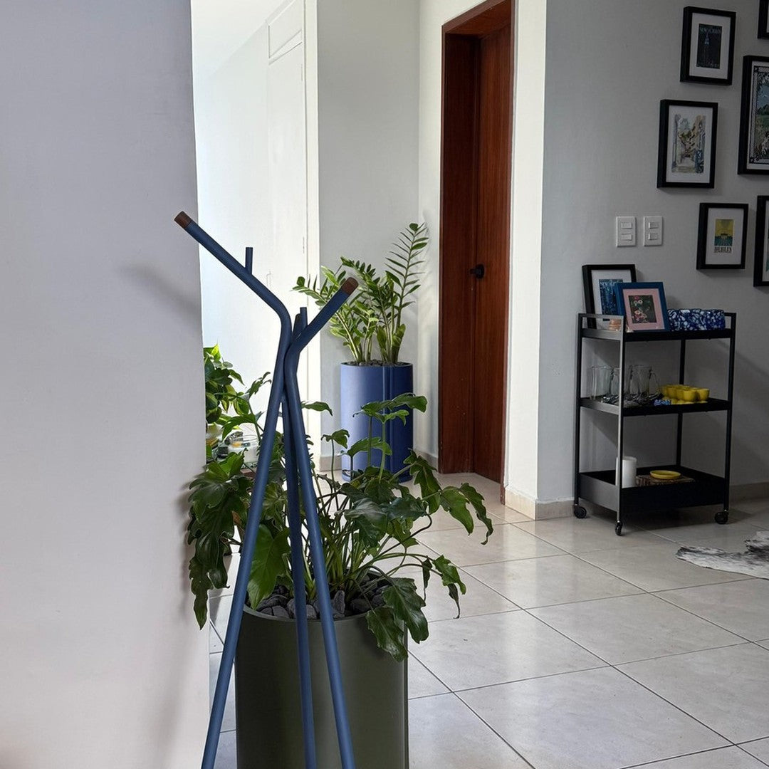 "Modern blue coat rack against a light wall, with green plants and neutral-tone decor."