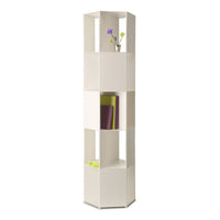 Hexagon Bookcase