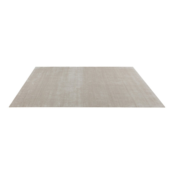 Light beige area rug with a subtle, smooth texture, perfect for modern home decor.